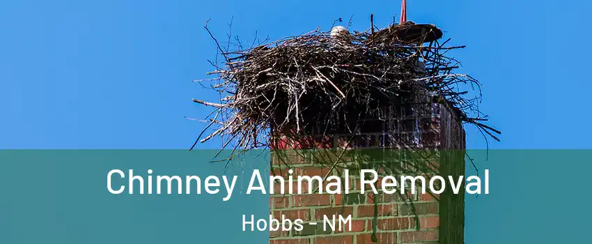  Chimney Animal Removal Hobbs - NM