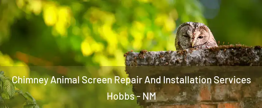  Chimney Animal Screen Repair And Installation Services Hobbs - NM