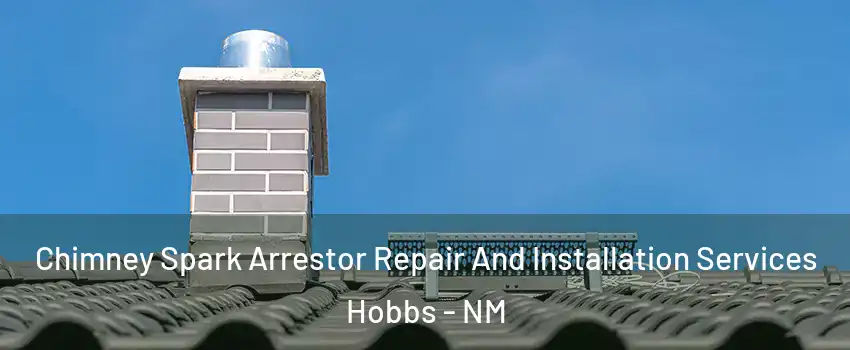  Chimney Spark Arrestor Repair And Installation Services Hobbs - NM
