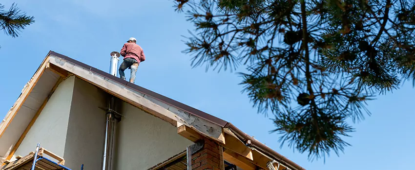 Birds Removal Contractors from Chimney in Hobbs, NM