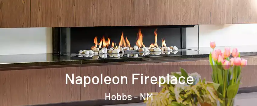  Napoleon Fireplace Hobbs - NM